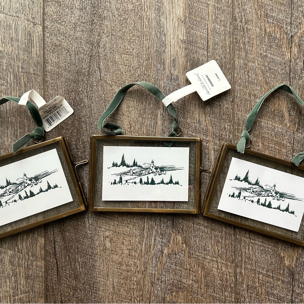 Hearth & Hand Brass Frame Christmas Ornaments (Set of 3)